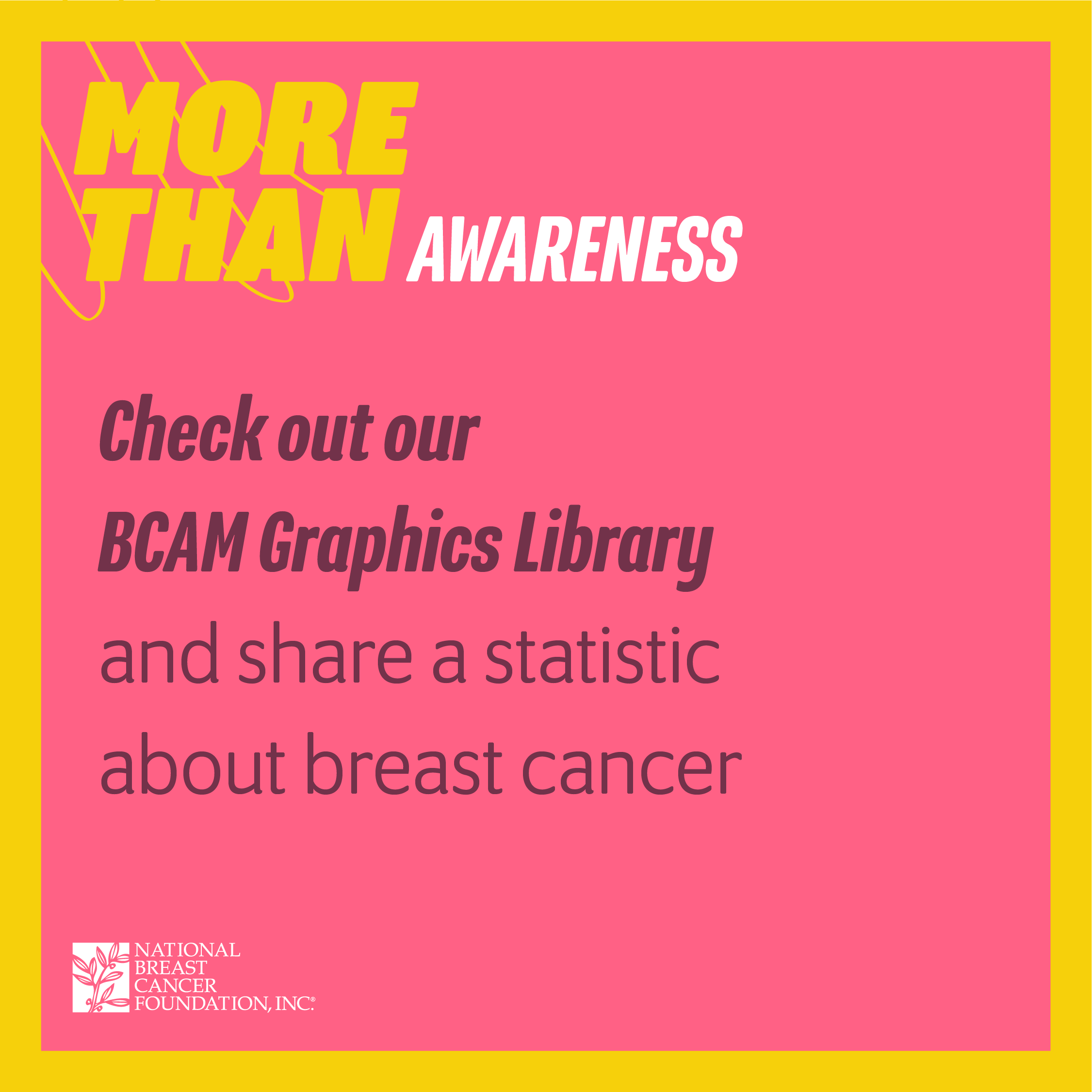 BCAM Graphics Library: Stats - National Breast Cancer Foundation