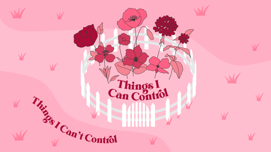 Illustration of a circle with the words "things I can control" on the inside and "things I can't control" on the outside