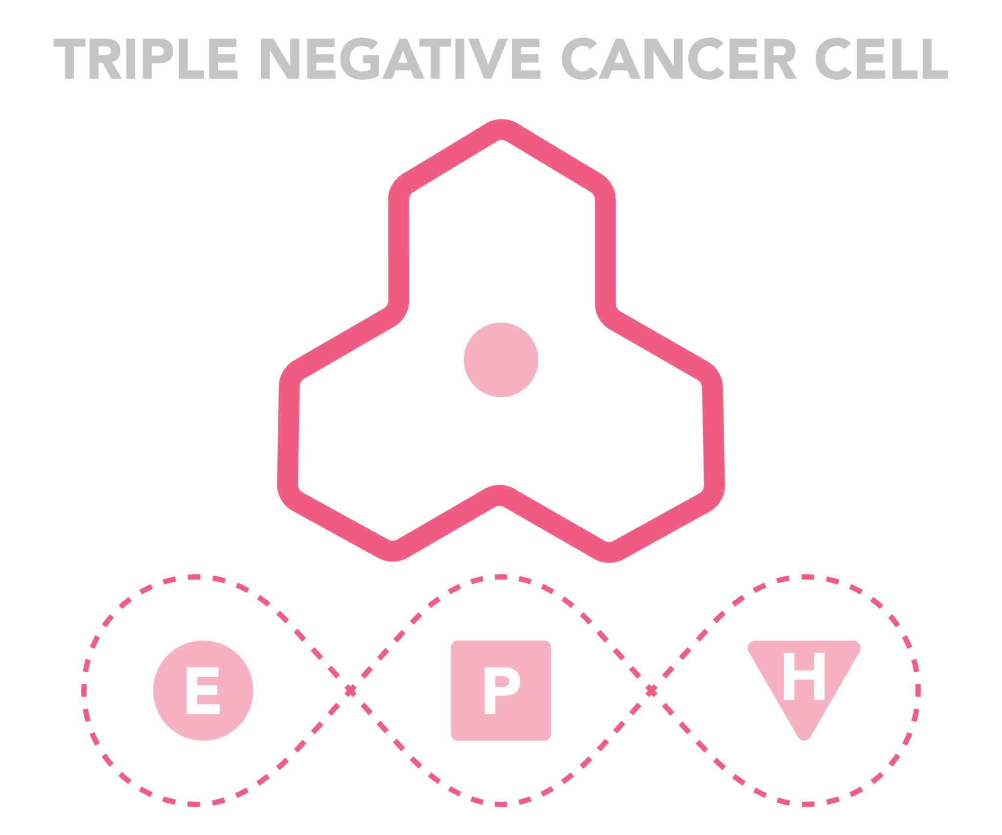 triple-negative-breast-cancer-national-breast-cancer-foundation